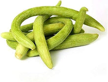 Long Cucumber Seeds (Cucumis sativus) for a reliable harvest in the vegetable patch urban garden