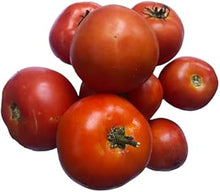 Homestead Tomato Seeds known for home-Grown Tomatoes
