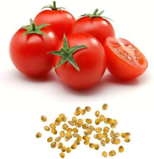Manitoba Tomato Seeds for a productive addition to the vegetable patch