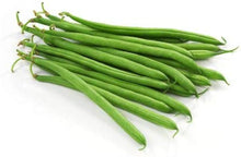 BEAN Black turtle POLE BEAN HEIRLOOM ORGANIC + Seeds for growers stocking a kitchen garden