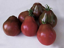 Japanese Black Trifele Heirloom Tomato Seeds for growers stocking a kitchen garden