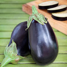 Heirloom Florida Market Eggplant Seeds prized among growers for large Fruit Tall Plants