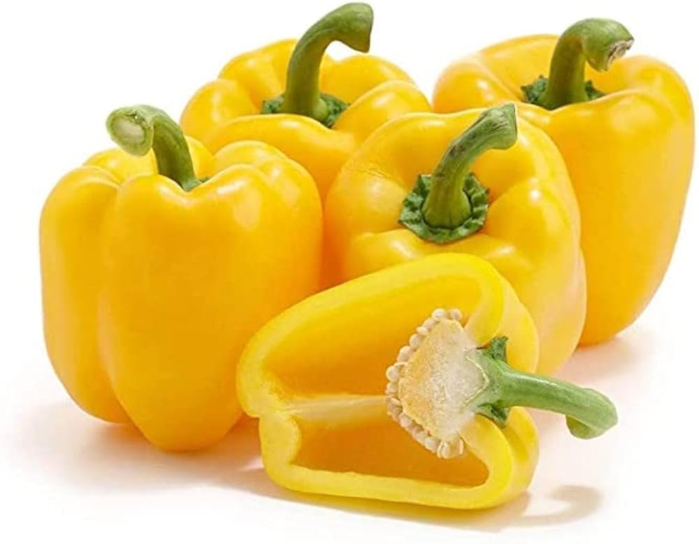 Yellow Caribbean Allspice Pepper – Capsicum chinense – hot climate garden