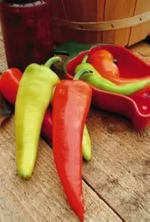 Hungarian Pepper Seeds (Capsicum annuum) for productive rows in the Vegetable Patch