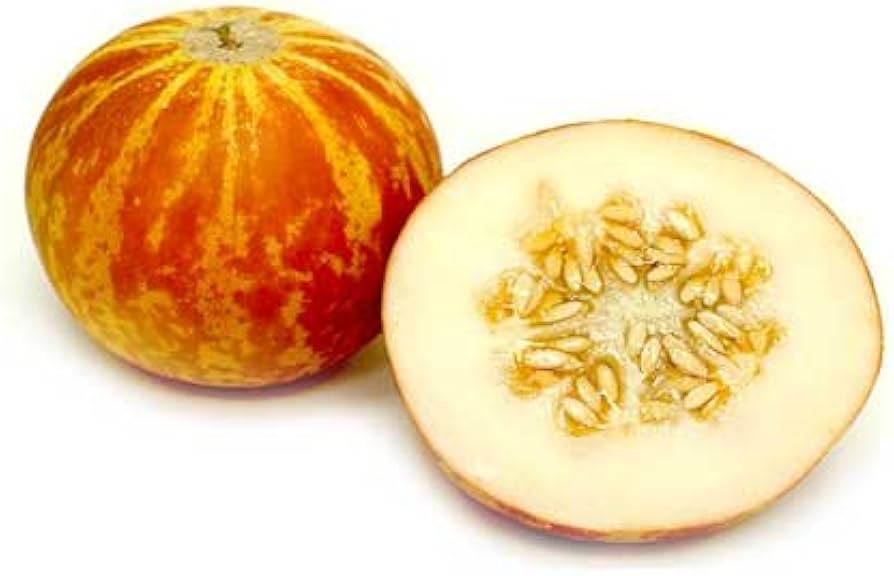 Vietnam Milk Melon Seeds for planting in bonsai and vegetable gardens
