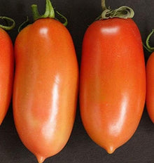 Roma VF Tomato Seeds (Solanum lycopersicum) for growers stocking the home paste tomato gardens