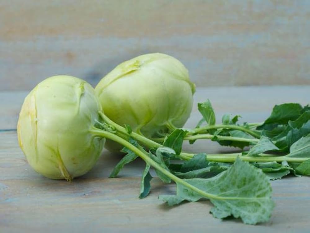 Hybrid Kohlrabi Kolibri F seeds