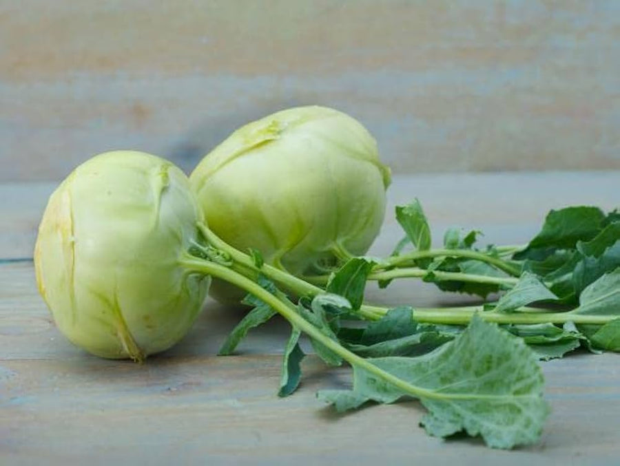 Hybrid Kohlrabi Kolibri F seeds