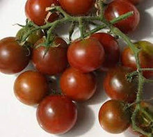 Brown Flesh Organic Tomato Seeds for growers stocking the Your Garden