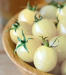 Orange (Cherry Tomato Seeds – Sweet Bite-Sized Tomatoes for Snacking & Salads) for planting in garden