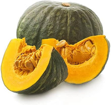 Pumpkin plant Seeds (Cucurbita pepo) for a fresh homegrown crop from the home garden vegetable patches