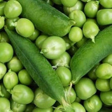 Early Frosty Garden Pea Seeds for a reliable harvest in the vegetable patch