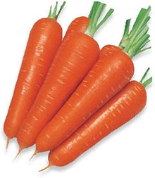 Carrot Seeds (Daucus carota) for a fresh homegrown crop from the Pack in Kitchen Garden