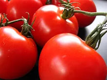 Creole Tomato Seeds (Solanum lycopersicum) for a fresh homegrown crop from the Vegetable Patch & Home Garden