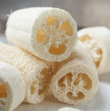 Loofah Sigua seeds for growing natural sponges