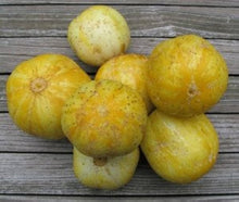 True Lemon Cucumber Seeds for zesty and refreshing garden cucumbers
