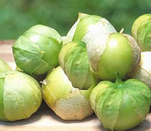 Tomatillo Toma Verde Tomato Seeds prized among growers for tangy, Green Tomatoes