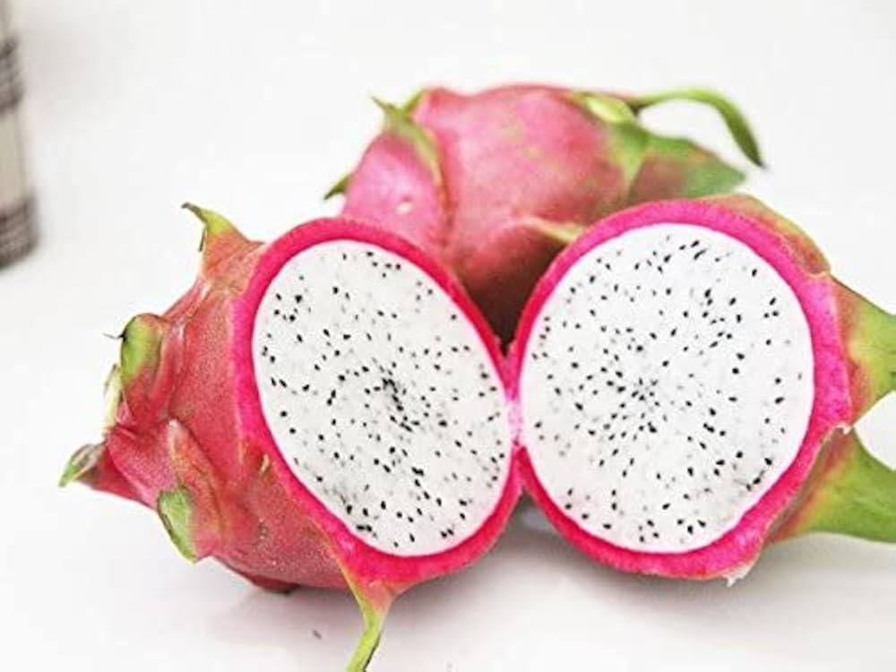 Mixed color Pitaya dragon fruit seeds