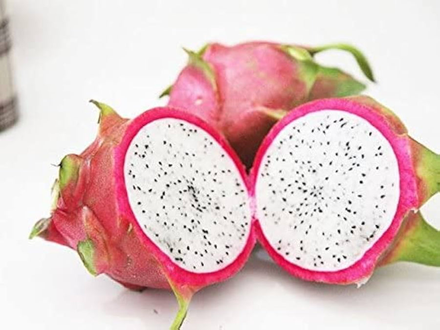 Mixed color Pitaya dragon fruit seeds