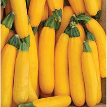 Pumpkin Cucurbita Pepo Gold Wire Rare Seeds known for home Seasonal Harvest