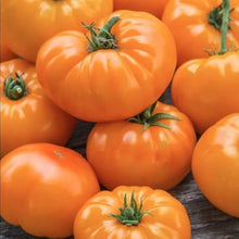 Amana Orange Tomato Seeds for growers stocking the Vegetable Patch