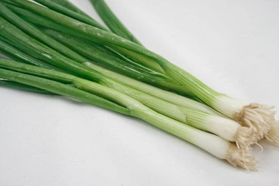 Japanese (Indestructible White Bunching Onion Seeds – Hardy Scallion-Type Onions) for planting in garden
