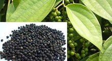 Black Hawk Ornamental Pepper Seeds for home growers seeking a reliable harvest