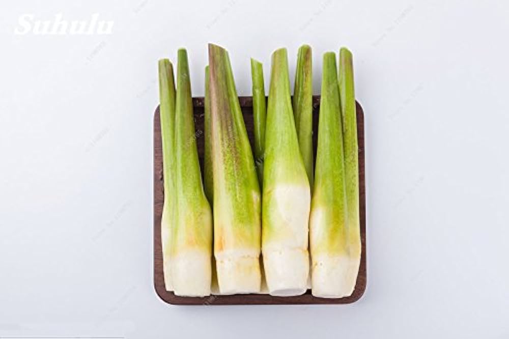 Zizania Latifolia Aquatic Vegetables