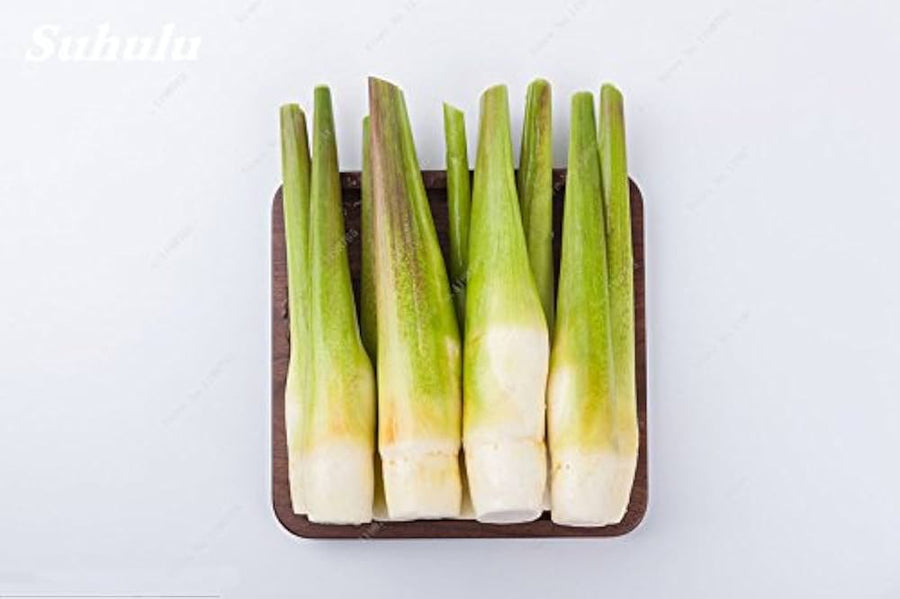 Zizania Latifolia Aquatic Vegetables