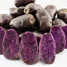 Purple Sweet Potato Seeds for home growers seeking a reliable harvest