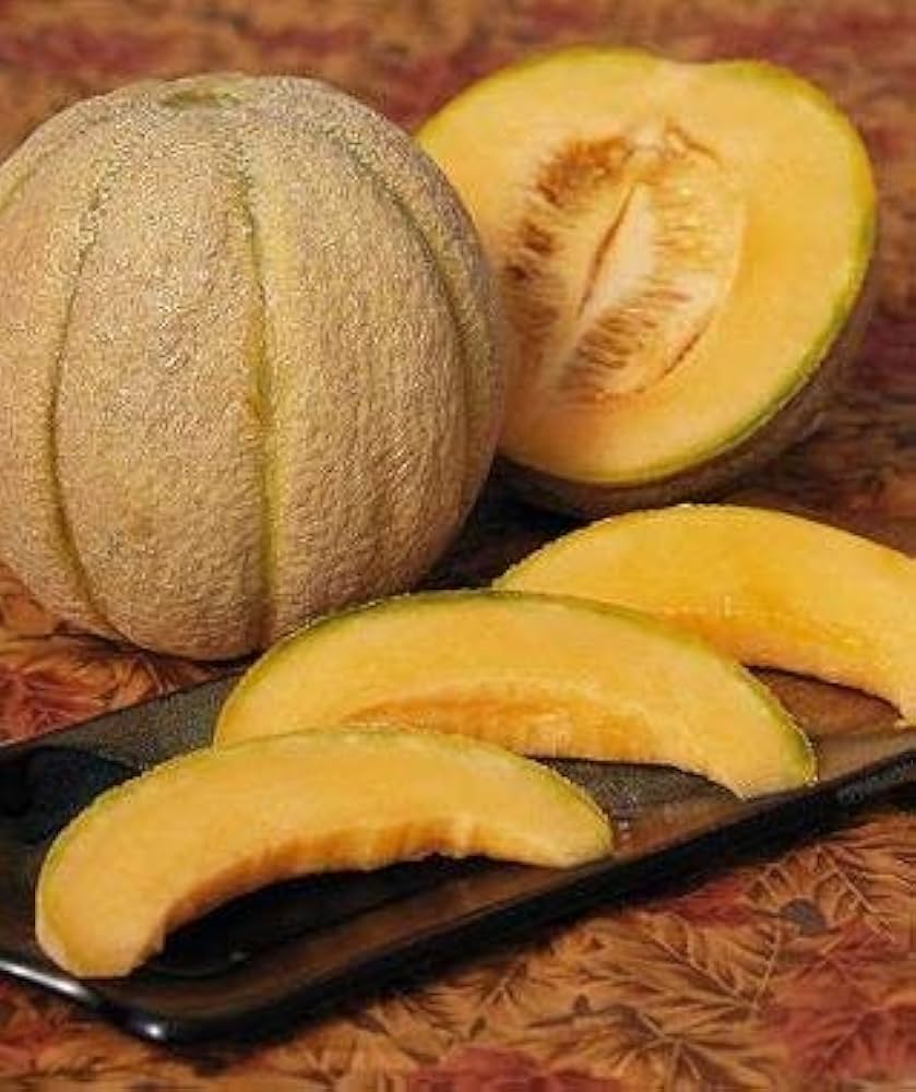 TRM830 Halona Hybrid Melon Seeds for Sweet Summer Harvests