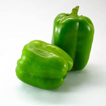 Capsicum Seeds (Capsicum annuum) for a colorful addition to any planting
