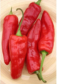 Pepper Capsicum Annuum California Wonder Sweet Seeds for growers stocking the Kitchen Garden