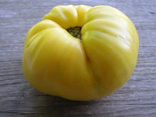 Basinga Tomato - Samen - Gelb Beefsteak Seeds for a productive addition to the vegetable patch