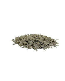 Iceberg Lettuce Seeds for growers stocking a kitchen garden