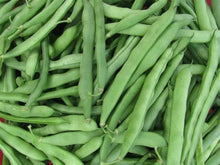 France Lago Blu Pole Bean Seeds for productive rows in the vegetable patch