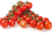 ANTIER CHERRY TOMATO Seeds for home growers seeking a reliable harvest