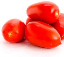 Hard Rock Tomato Seeds (Solanum lycopersicum) for a reliable harvest in the high-yield, resilient garden tomatoes