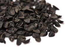 Onion Seeds (Allium cepa) for productive rows in the kitchen garden and home growing