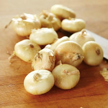 Yellow Cipollini Onion Seeds (Allium cepa) for a fresh homegrown crop from the culinary and kitchen gardens