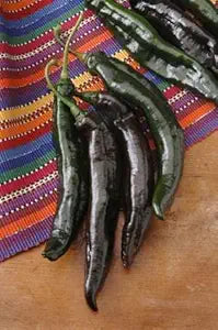 Santa (Mole Pepper Capsicum annuum hybrid vegetable) for planting in garden