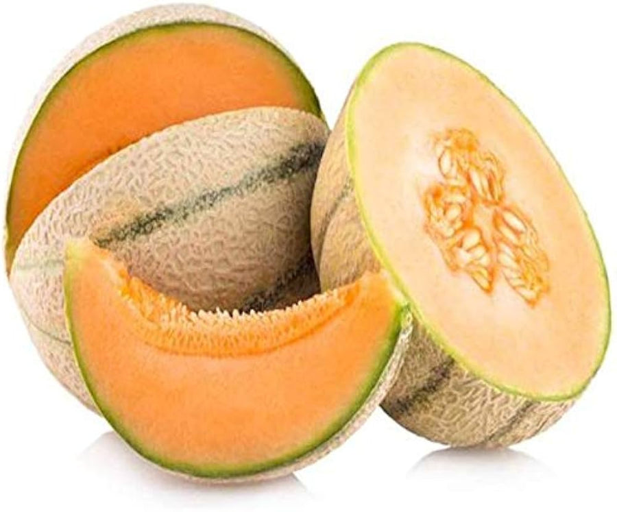 Melon Garden for planting in home garden.