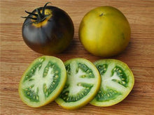 Wagner Blue-Green Tomato Seeds (Solanum lycopersicum) prized among growers for heirloom backyard gardening