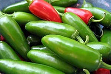 Plant Seeds (Jalapeno pepper) for a fresh homegrown crop from the backyard vegetable garden or pots