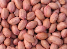 Brown Big Peanut Seeds for gardeners building out beds and borders
