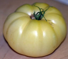 Heirloom Beefsteak Tomato Seeds (Solanum lycopersicum) for productive rows in the home garden salad patch