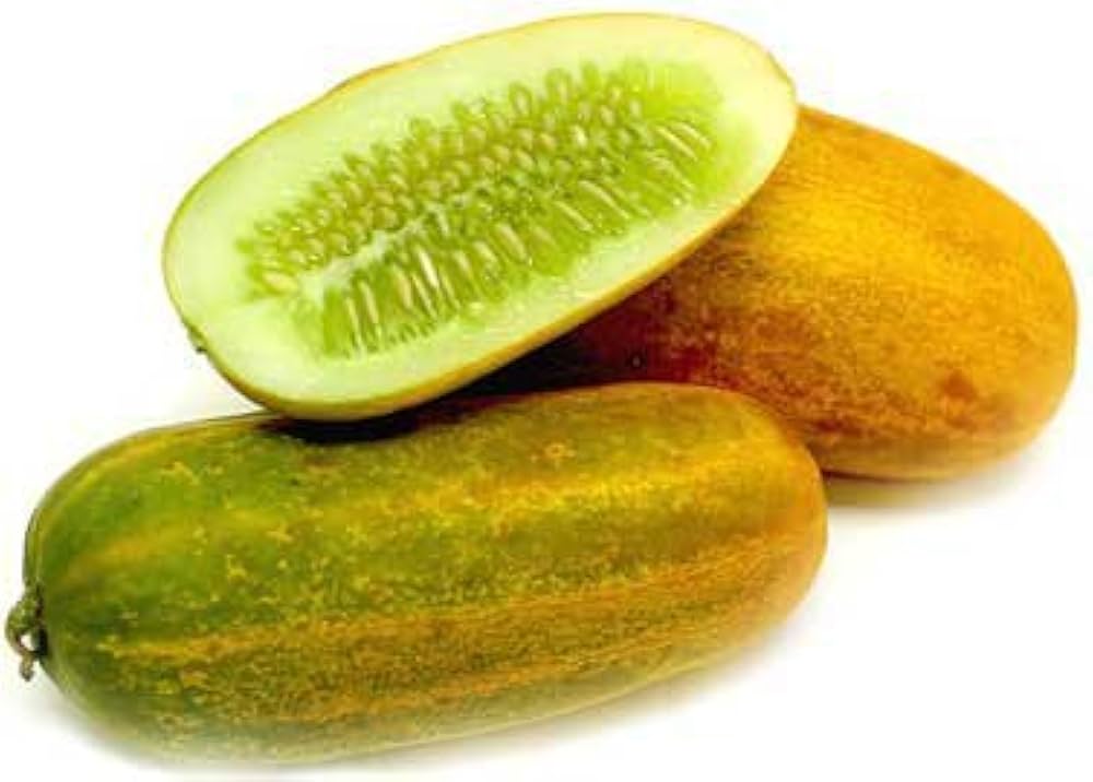 Mixed Cucumber (Red, Yellow, White types) for planting in balcony garden
