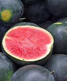 Watermelon Seeds (Citrullus lanatus) for productive rows in the backyard garden or raised beds