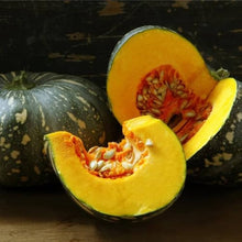 Japanese Kikuza Seeds (Cucurbita moschata) for growers filling out the kitchen garden and traditional cooking use