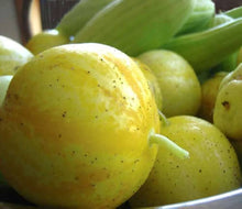 True Lemon Cucumber Seeds for a fresh homegrown crop from the Refreshing Garden Cucumbers